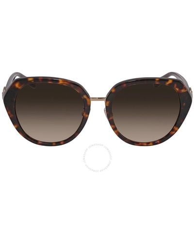 COACH Brown Gradient Butterfly Sunglasses  512013 55