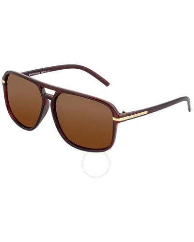 Simplify Reed Pilot Sunglasses Ssu121-bn - Brown