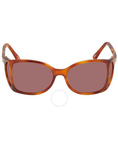 Persol Violet Wrap Unisex Sunglasses  96/4r 54 - Brown