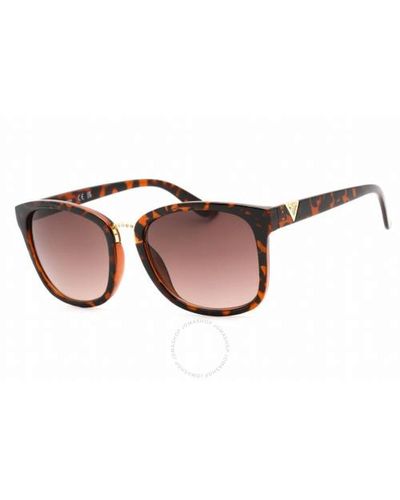 Guess Factory Brown Gradient Square Sunglasses Gf0327 52f 57