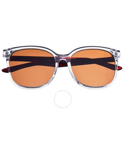 Bertha Transparent Round Sunglasses Brsbr050c5 - Brown