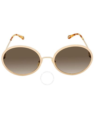 Chloé Brown Gradient Oval Sunglasses