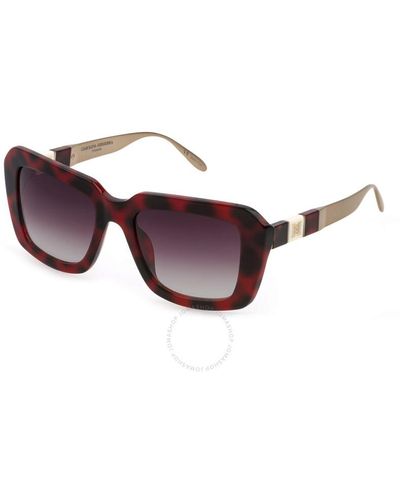 Carolina Herrera Purple Gradient Rectangular Sunglasses Shn619m 09at 53 - Brown
