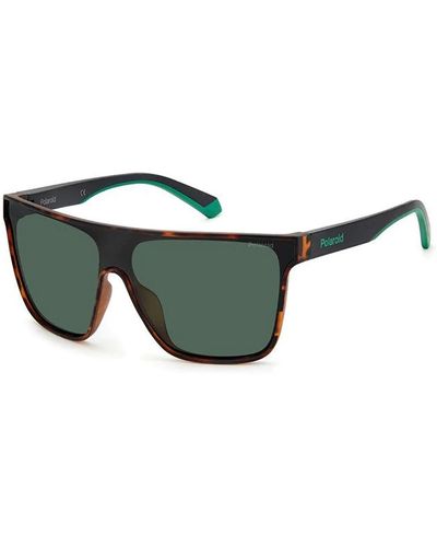 Polaroid Green Browline Sunglasses