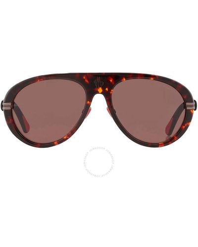 Moncler Red Pilot Sunglasses Ml0240 52e 57 - Brown