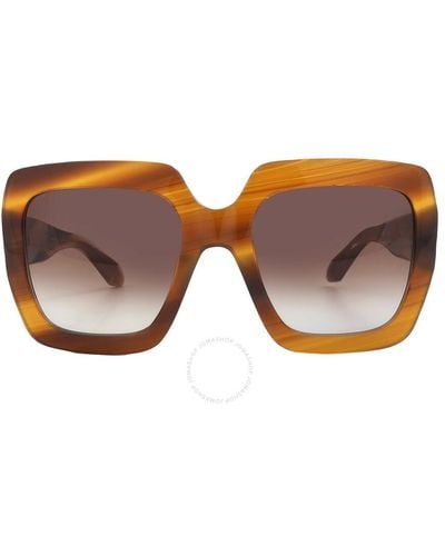 Carolina Herrera Brown Gradient Butterfly Sunglasses Shn636 091z 55