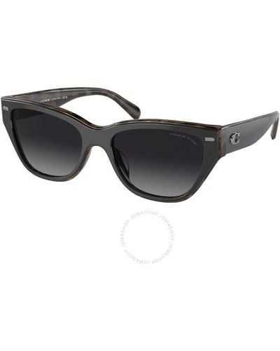 COACH Polarized Grey Gradient Cat Eye Sunglasses Hc8370f 5764t3 56 - Black