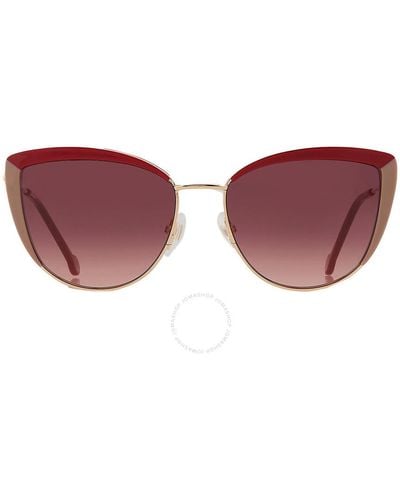 Carolina Herrera Burgundy Cat Eye Sunglasses Her 0112/s 0123/3x 58 - Red