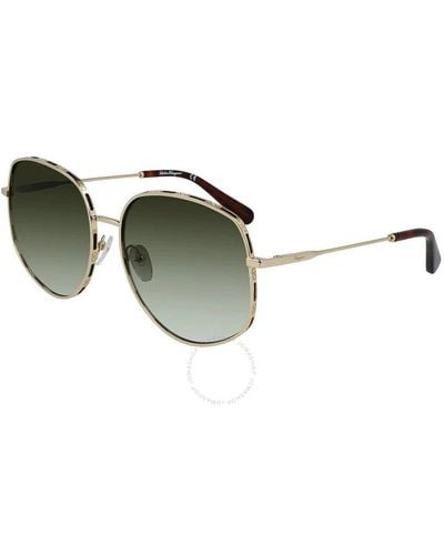 Ferragamo Green Gradient Oval Sunglasses Sf277s 723 61