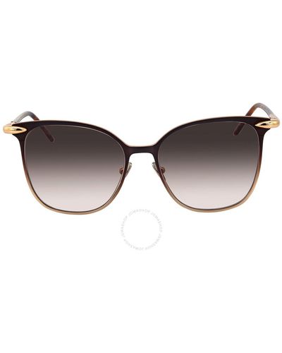 Pomellato Square Sunglasses  002 53 - Brown