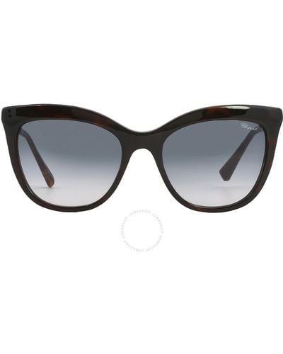 Chopard Grey Cat Eye Sunglasses Sch260s 09xk 54 - Black