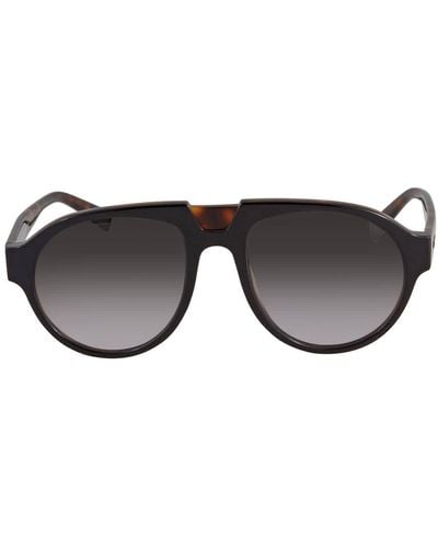 MCM Havana Pilot Sunglasses 692s 019 5420 - Black