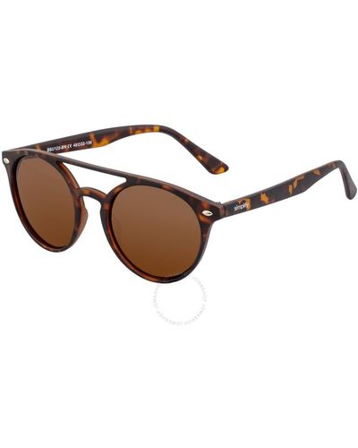 Simplify Tortoise Cat Eye Sunglasses Ssu122-bn - Brown
