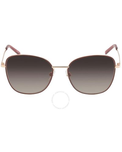 Marc Jacobs Brown Gradient Butterfly Sunglasses
