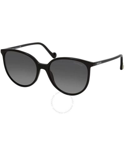 Moncler Polarized Smoke Cat Eye Sunglasses Ml0177 01d 56 - Black
