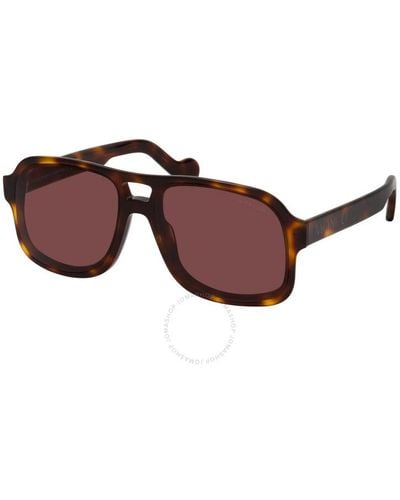Moncler Navigator Sunglasses Ml0170 52e 59 - Brown