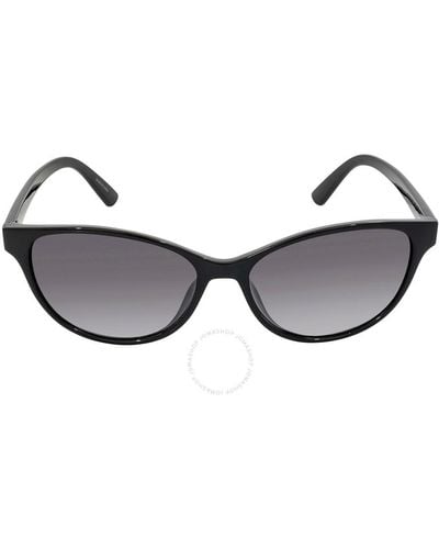 Calvin Klein Gray Gradient Cat Eye Sunglasses - Brown