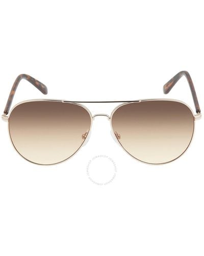 Calvin Klein Brown Gradient Pilot Sunglasses