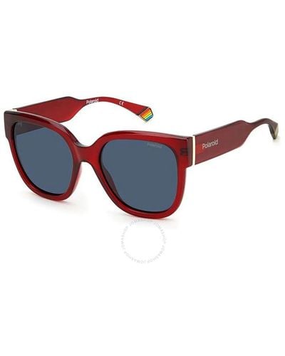 Polaroid Polarized Blue Square Sunglasses Pld 6167/s 0c9a/c3 55