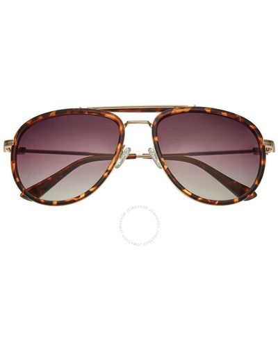 Simplify Silver Tone Pilot Sunglasses - Brown