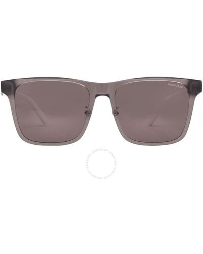 Moncler Smoke Square Sunglasses Ml0273-k 20a 57 - Gray