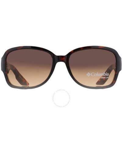 Columbia Eastern Cape Brown Square Sunglasses C521s 240 56 - Black