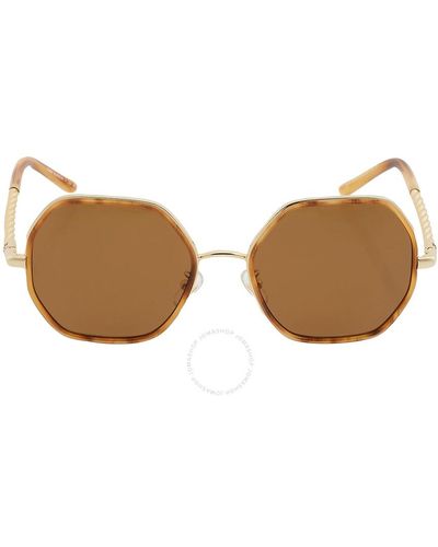 Tory Burch Solid Brown Irregular Sunglasses