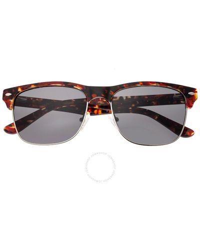 Sixty One Wajpio Sunglasses S136bk - Brown