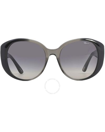 Chopard Gradient Oval Sunglasses Sch188s 0w40 54 - Grey