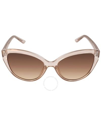 Calvin Klein Brown Gradient Cat Eye Sunglasses