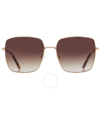 Calvin Klein Brown Gradient Square Sunglasses Ck20135s 717 58 - Black