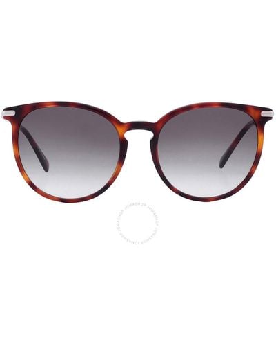 Longchamp Gradient Phantos Sunglasses Lo646s 214 54 - Brown