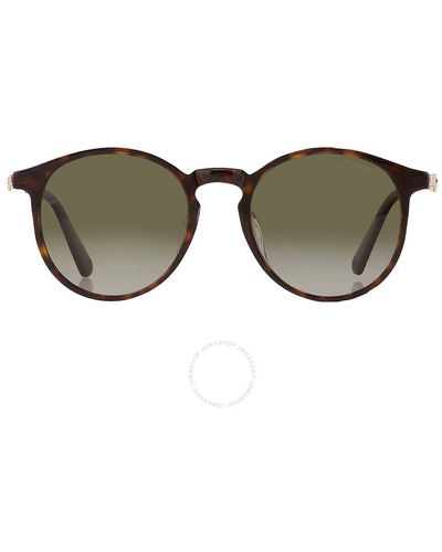 Moncler Polarized Green Phantos Sunglasses Ml0197-d 52r 53 - Brown