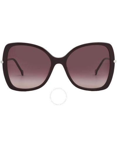 Carolina Herrera Shaded Butterfly Sunglasses Ch 0025/s 0lhf/3x 58 - Brown