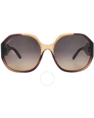 Ferragamo Red Oval Sunglasses Sf943s - Brown