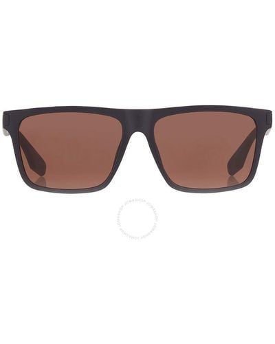 Calvin Klein Brown Browline Sunglasses Ck20521s 410 56