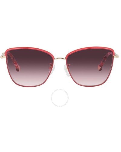 Carolina Herrera Violet Gradient Pink Rectangular Sunglasses She160n 0a93 56 - Brown
