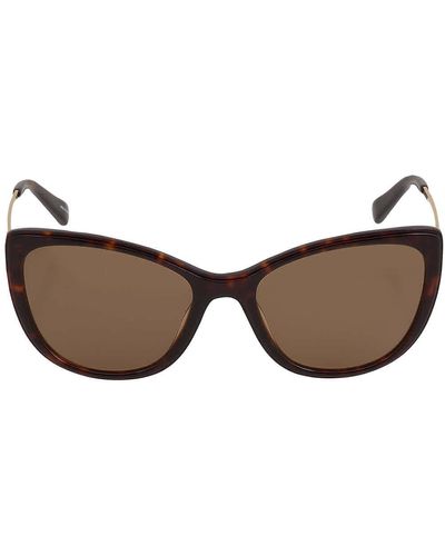 Moschino Mchino Cat Eye Sunglasses - Black