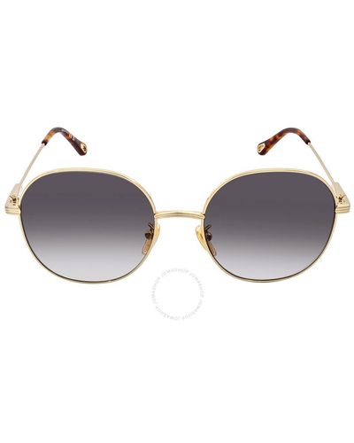 Chloé Grey Gradient Round Sunglasses - Brown