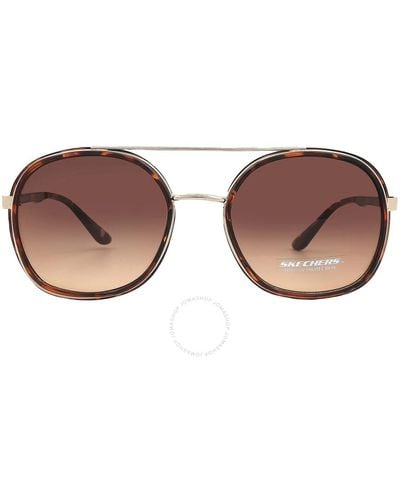 Skechers Gradient Brown Sunglasses Se6184 52f 59