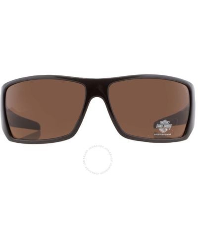 Harley Davidson Gradient Wrap Sunglasses Hd0571s E13 66 - Brown