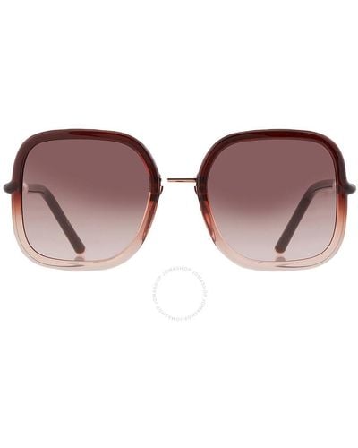 Carolina Herrera Brown Gradient Square Sunglasses Her 0078/g/s 008m/ha 55