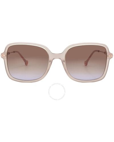 Carolina Herrera Brown Shaded Violet Square Sunglasses Her 0101/s 0fwm/qr 55