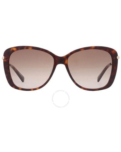 Longchamp Brown Gradient Butterfly Sunglasses Lo616s 213 56
