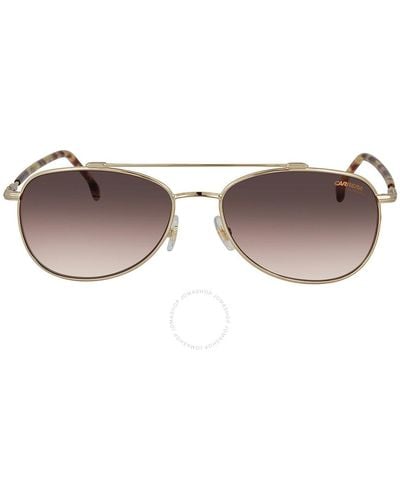 Carrera Brown Gradient Sunglasses 224/s J5g 58