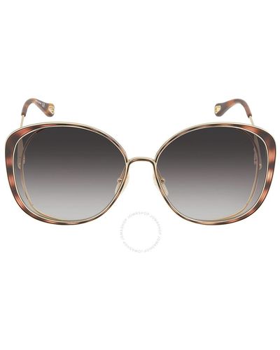 Chloé Gray Gradient Cat Eye Sunglasses Ch0036s 001 - Brown