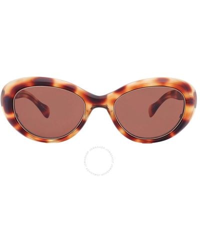 Mr. Leight Selma S Molasses Cat Eye Sunglasses Ml2023 Blont/mo 50 - Brown