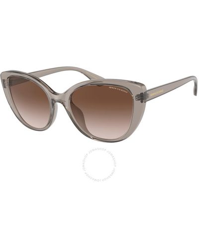 Armani Exchange Gradient Cat Eye Sunglasses Ax4111su 824013 54 - Brown