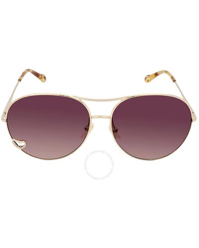 Chloé Brown Pilot Sunglasses - Purple