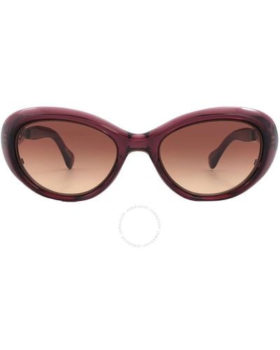 Mr. Leight Selma S Dark Cherry Gradient Cat Eye Sunglasses Ml2023-50-rxbry/dchg - Brown